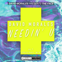 Cover of Needin' U (Alt Original Remix)