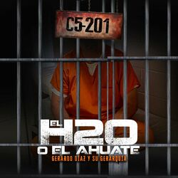 Cover of El H20 o El Ahuate