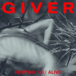 Cover of Keeping You Alive