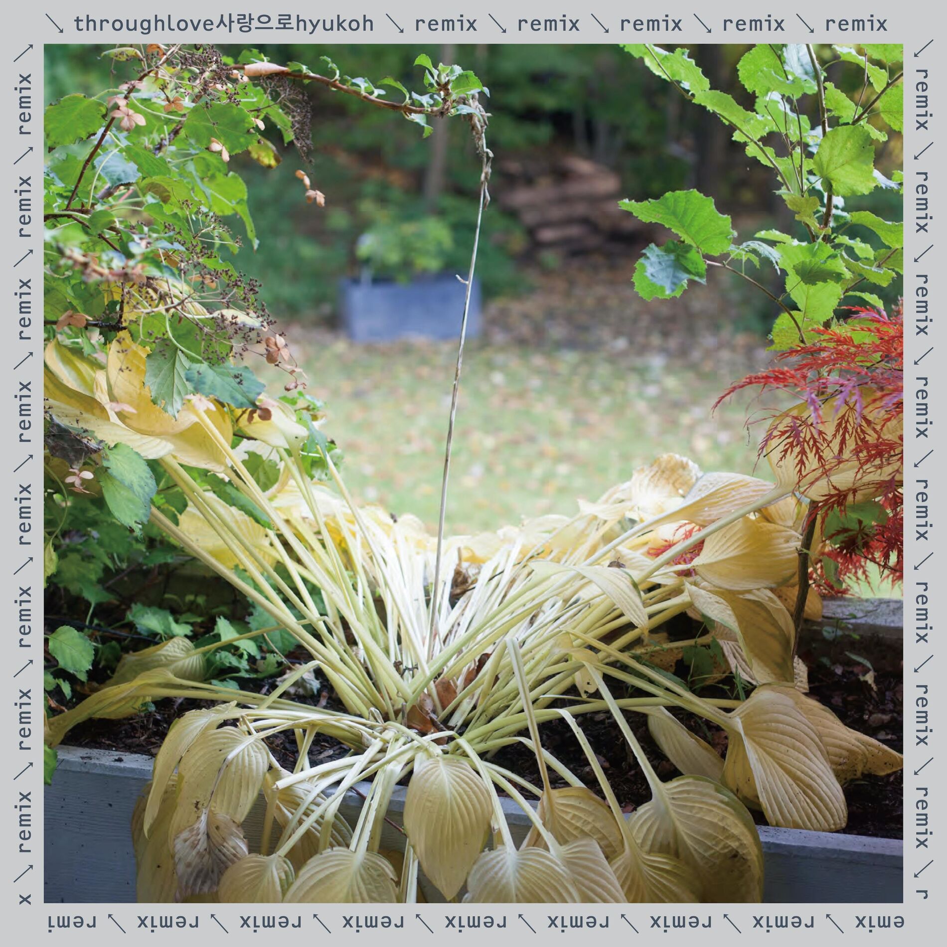 Album cover of Help (IDIOTAPE Remix)