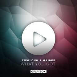 Cover of What You Got