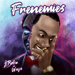 Cover of Frenemies