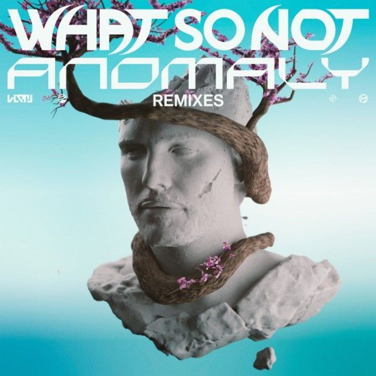 Album cover of Anomaly (Remixes)
