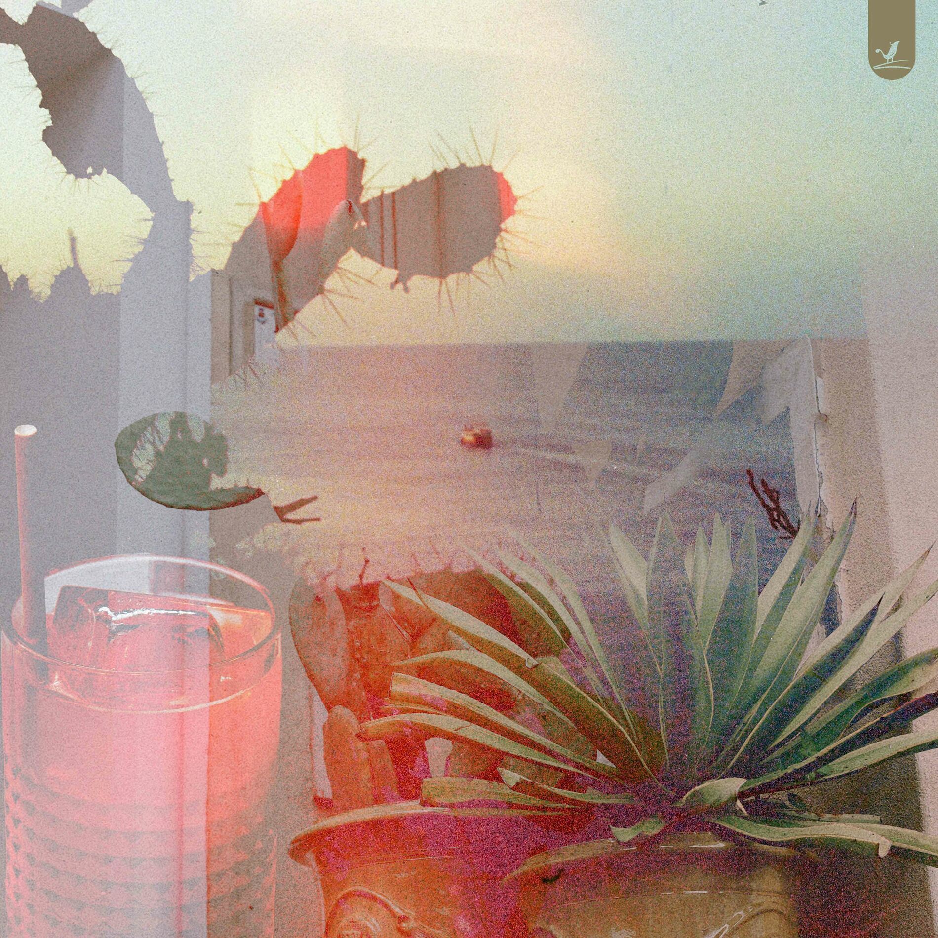 Album cover of Cactus Juice