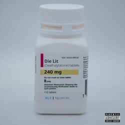 Cover of Die Lit