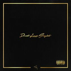 Cover of Don't Lose Sight