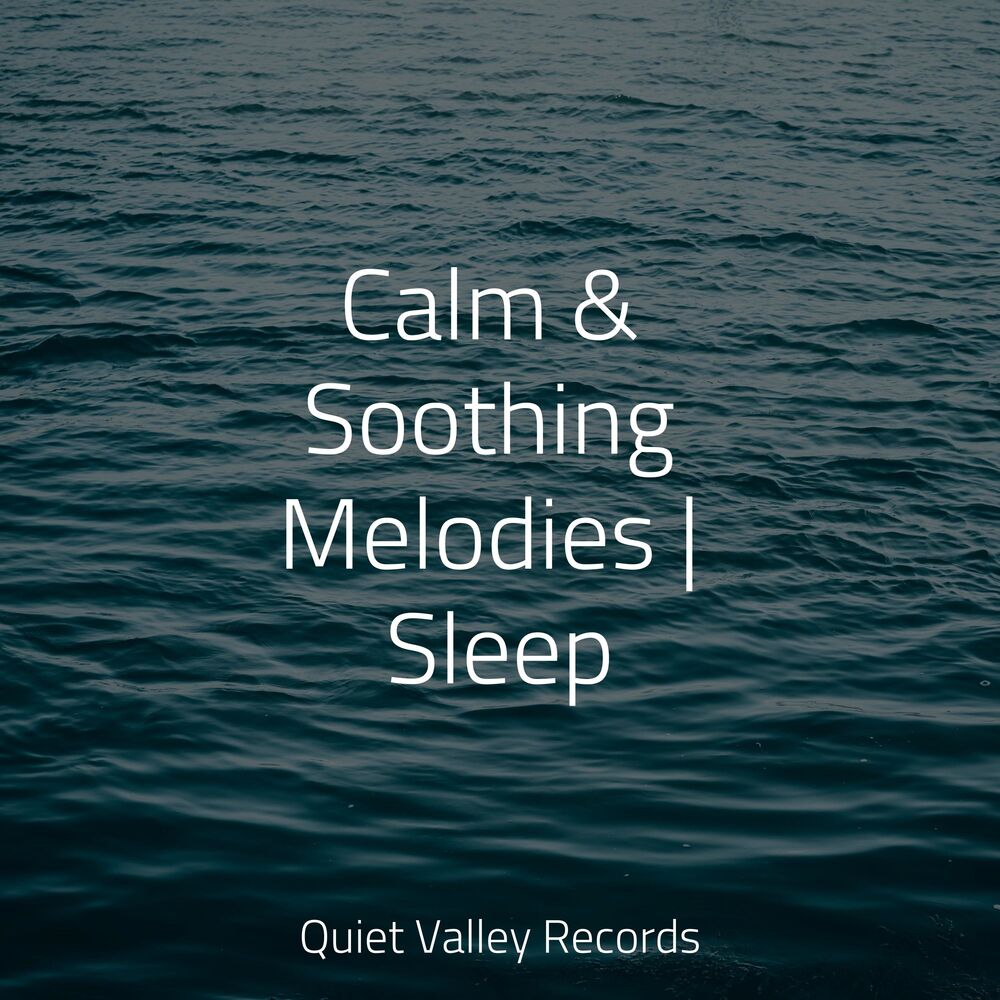 Picture of Calm & Soothing Melodies | Sleep