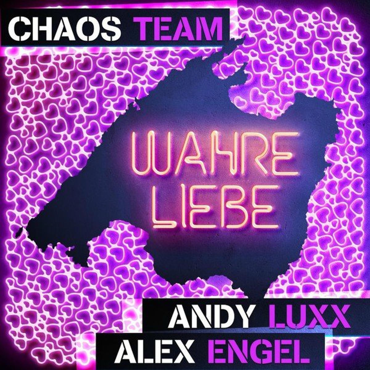 Album cover of Wahre Liebe