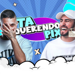 Cover of MEGA FUNK TA QUERENDO PIX by undefined