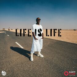 Cover of Life Is Life (C'est la vie)