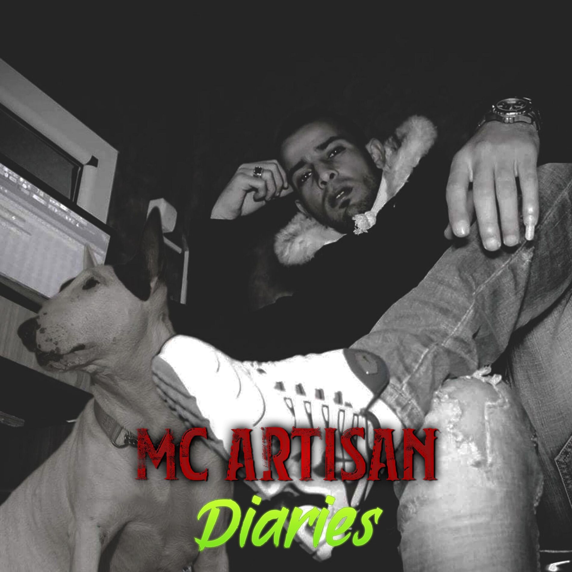 Album cover of Diaries
