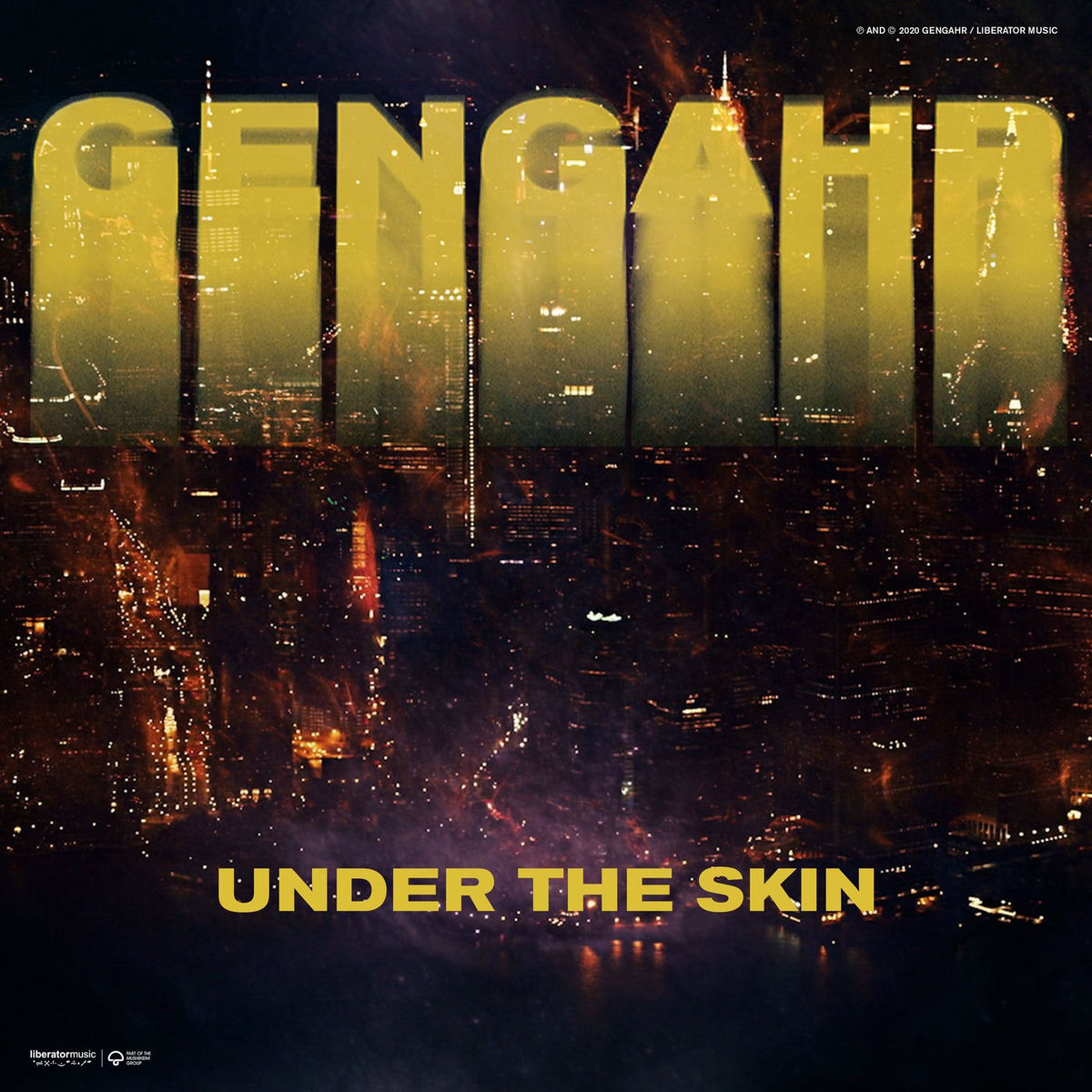 Album cover of Under The Skin