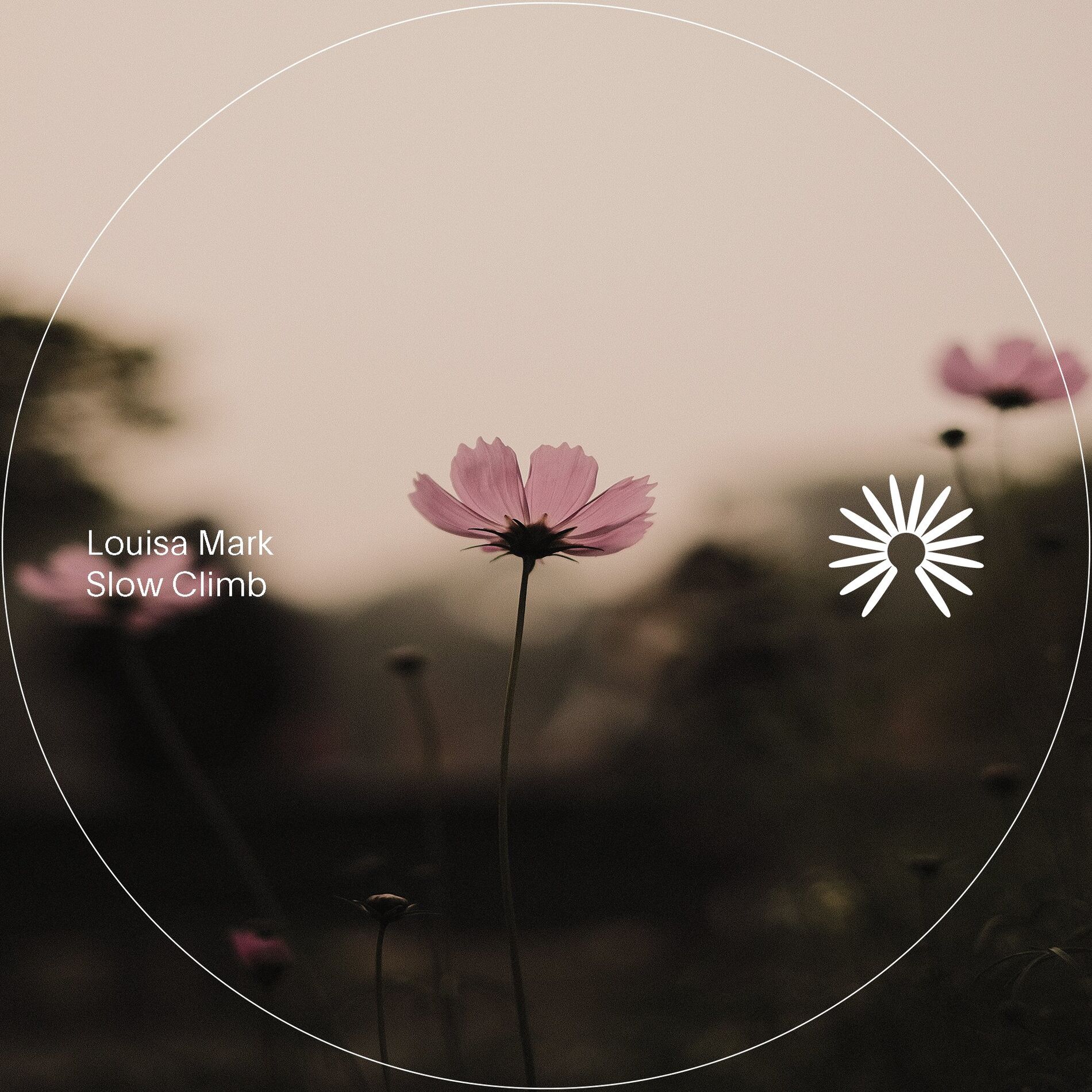 Album cover of Slow Climb