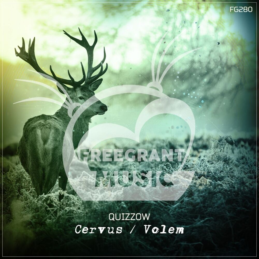 Picture of Cervus / Volem