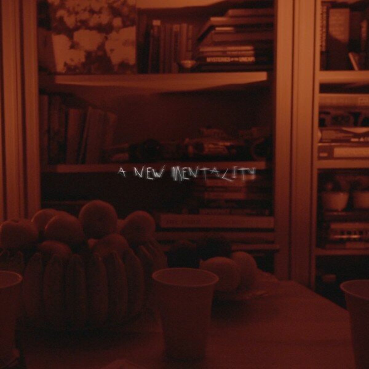 Album cover of A New Mentality
