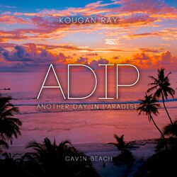 Cover of ADIP (Another Day In Paradise)