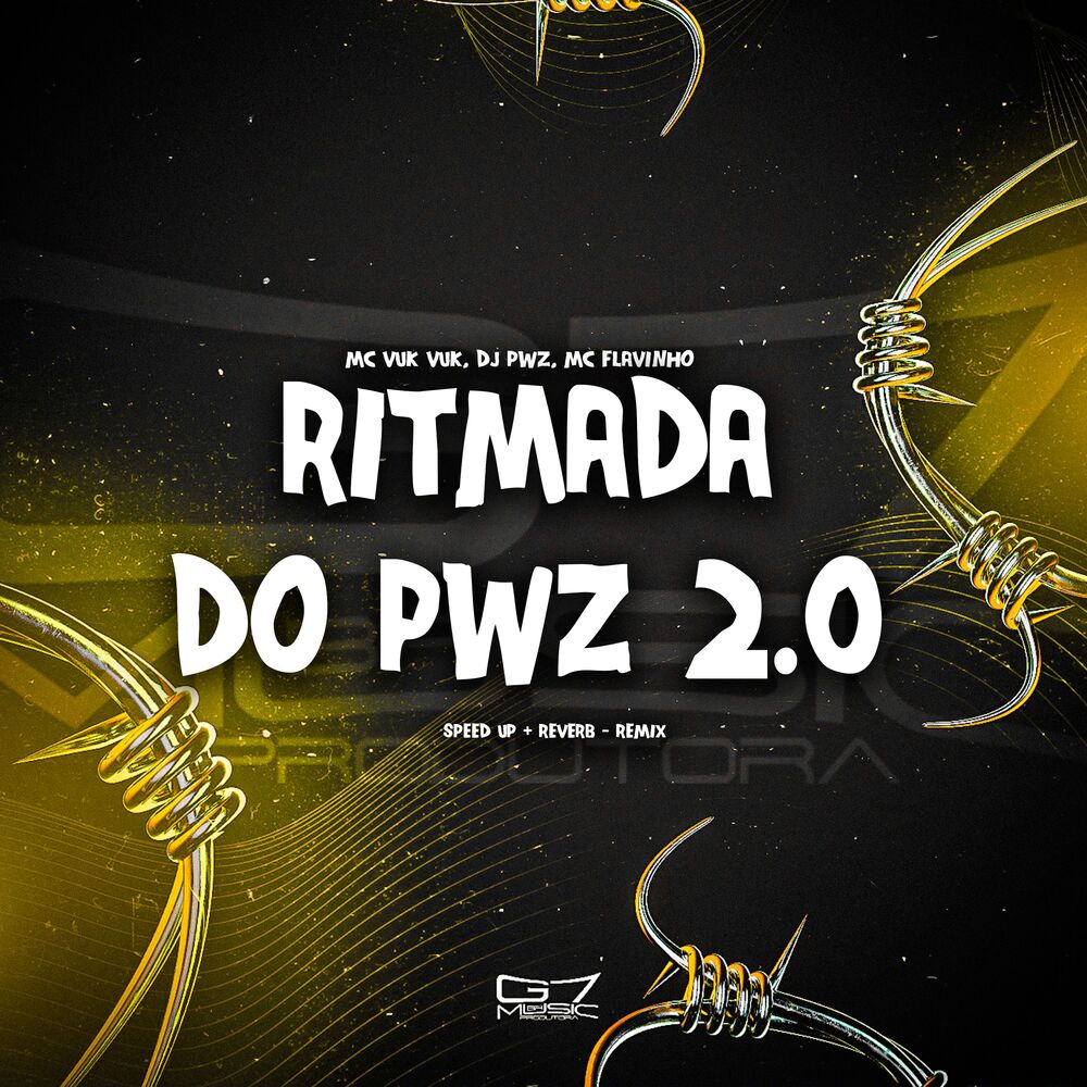 Picture of Ritmada do Pwz 2.0 (Speed Up + Reverb Remix)