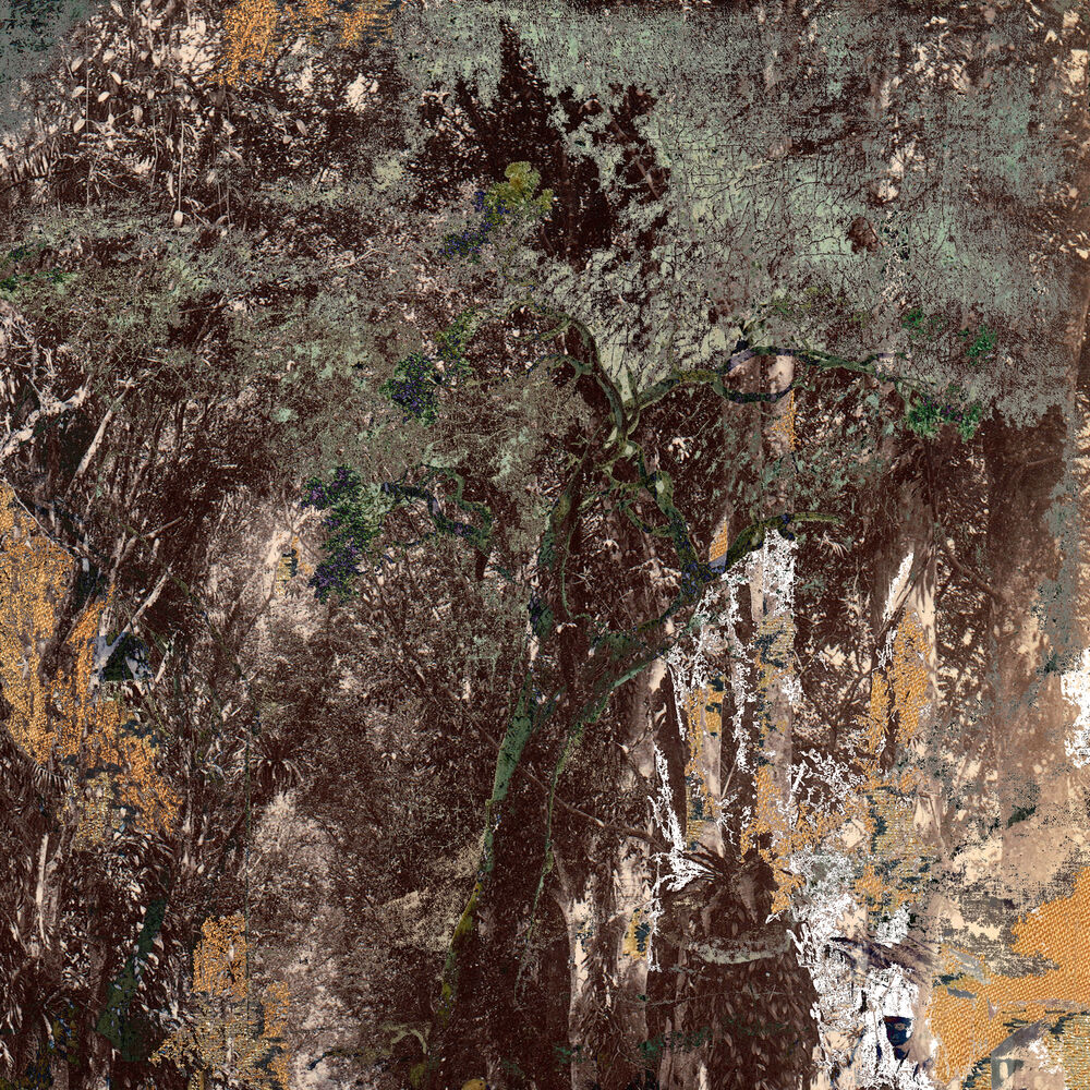 Picture of The Dirt, The Dancing