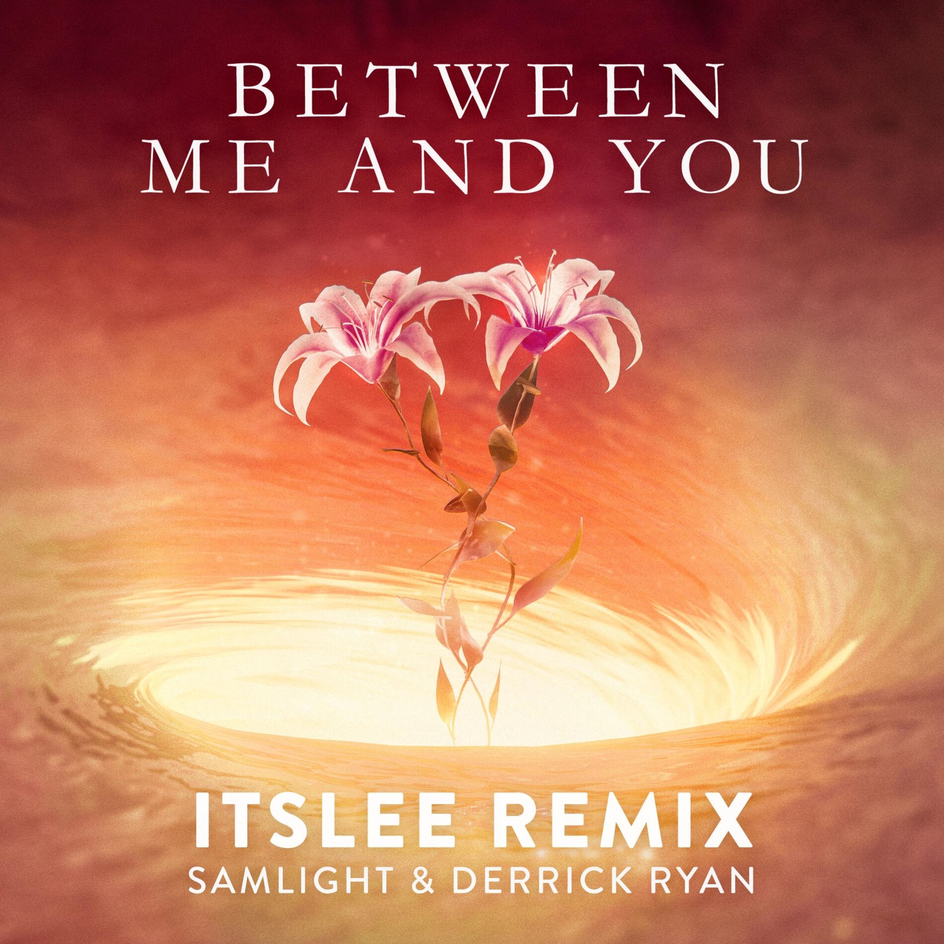 Album cover of Between Me and You