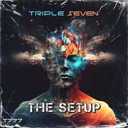 Cover of THE SETUP