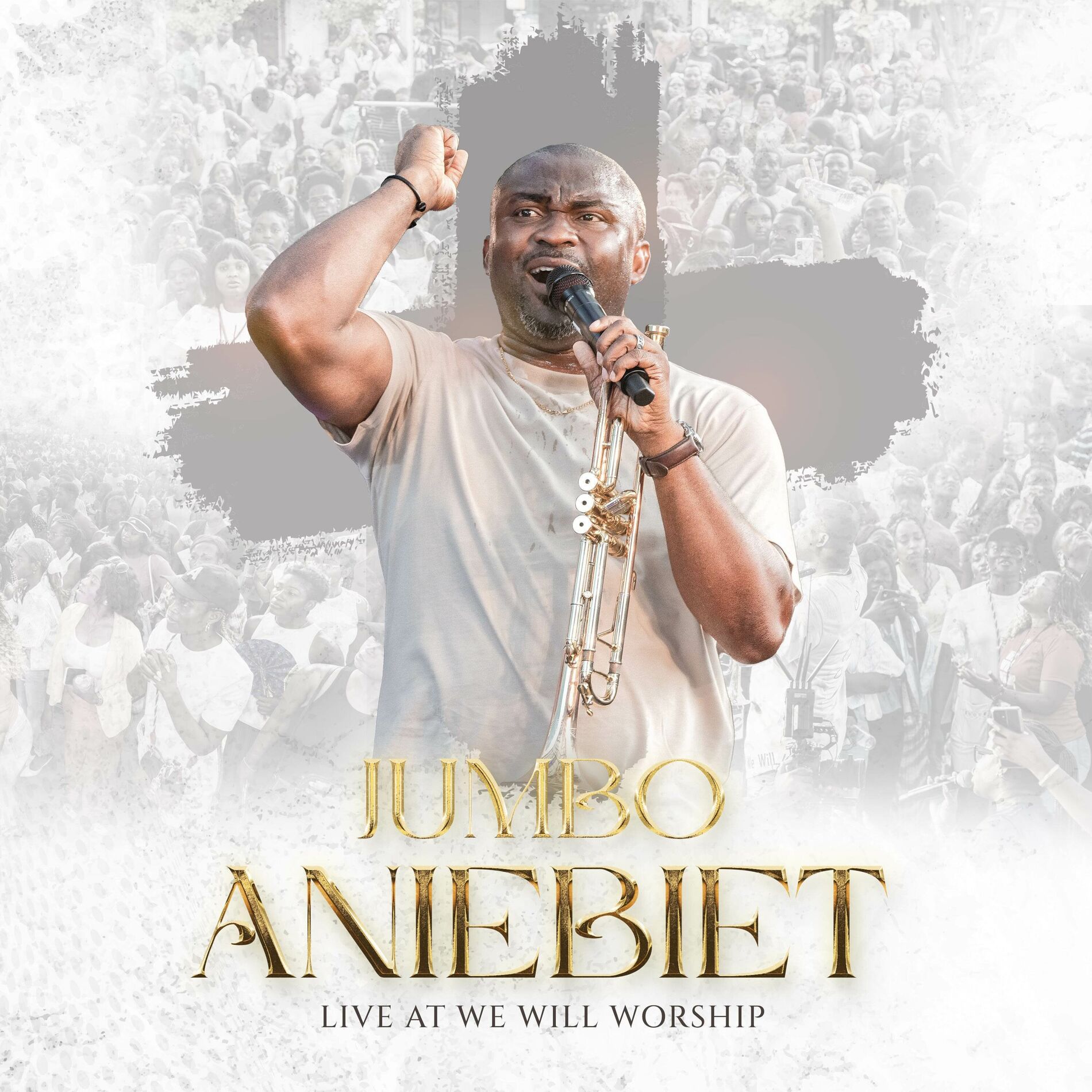 Album cover of We Will Worship (Live)