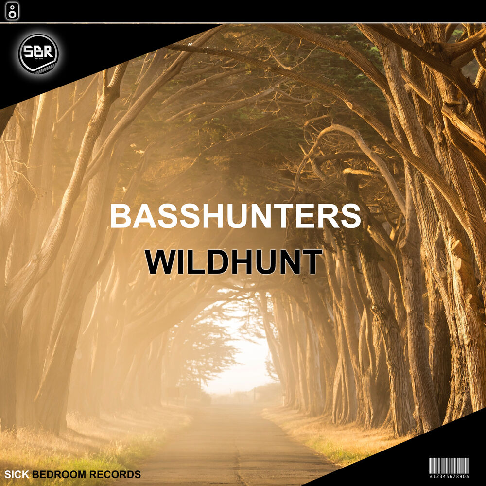 Picture of Wildhunt