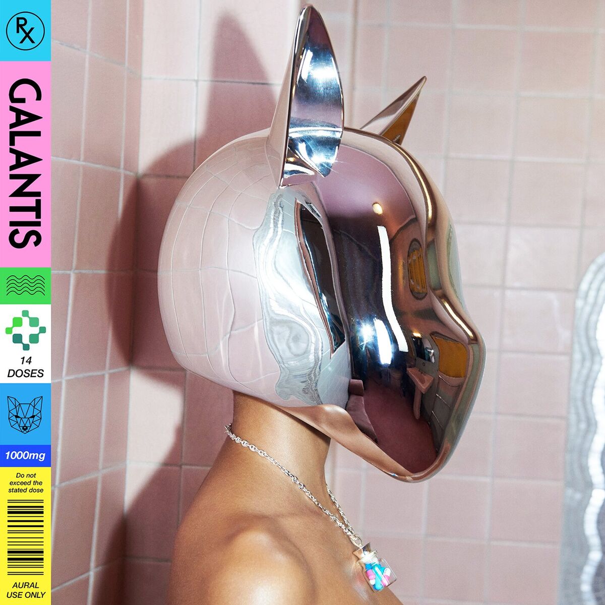 Album cover of Dust