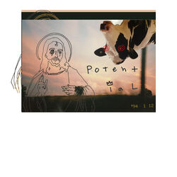 Cover of Potential