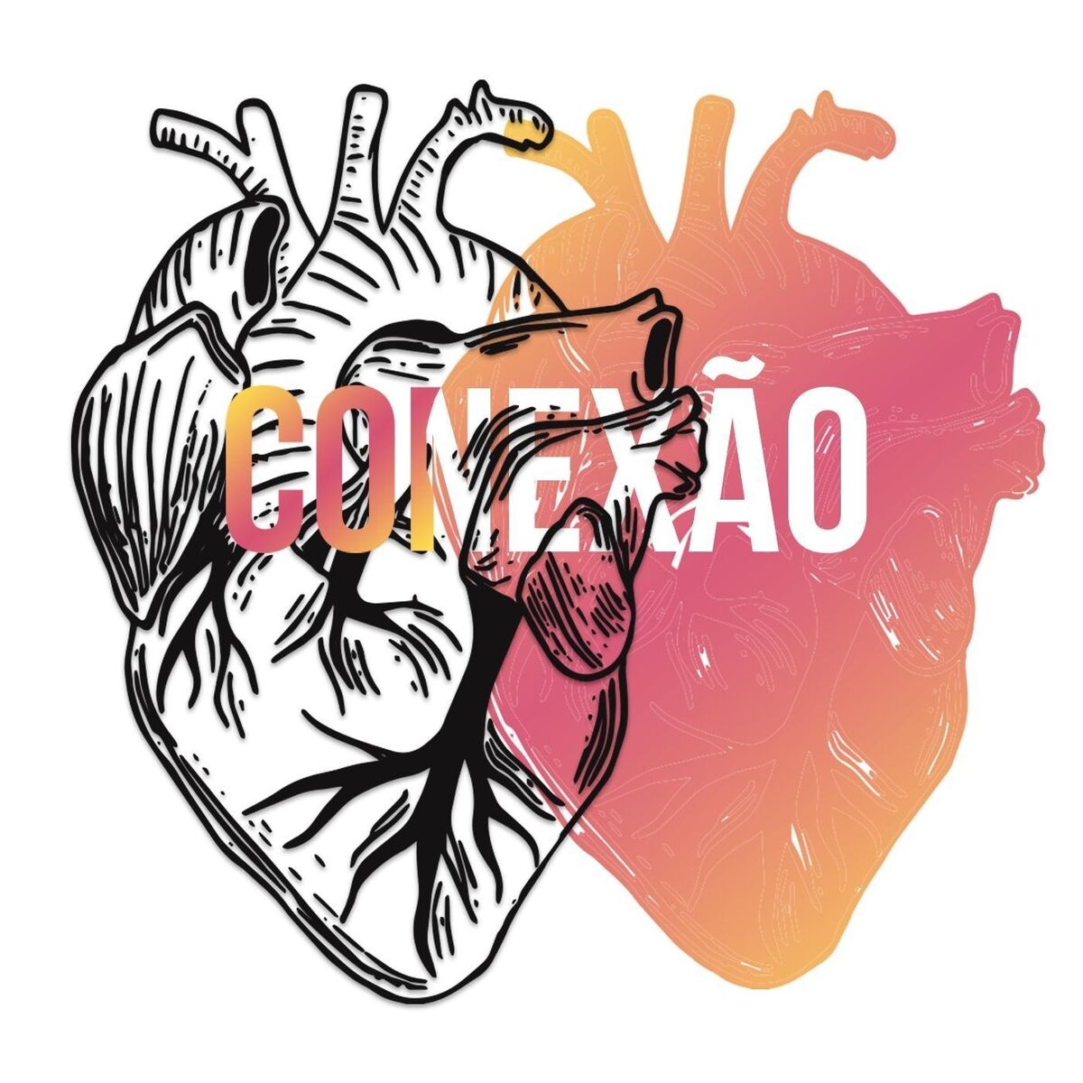 Album cover of Conexão