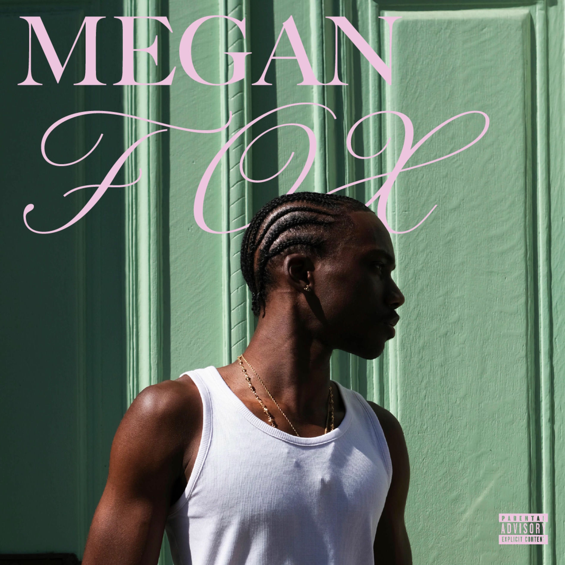 Album cover of Megan Fox