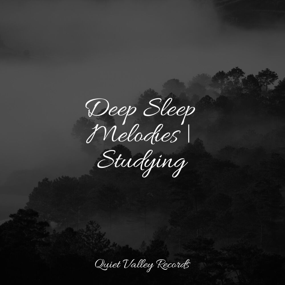 Picture of Deep Sleep Melodies | Studying