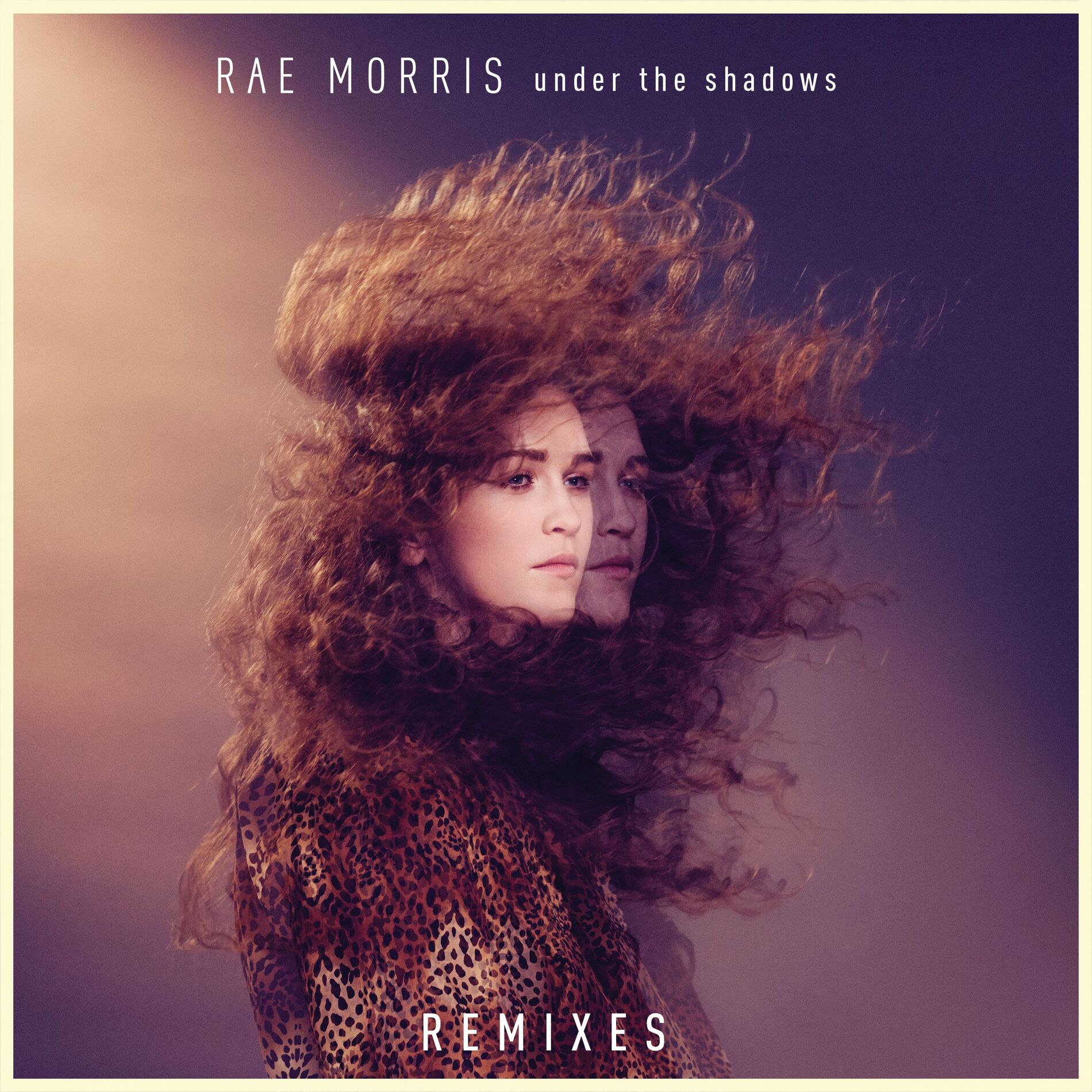Album cover of Under the Shadows Remixes