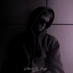 Cover of Without An Image