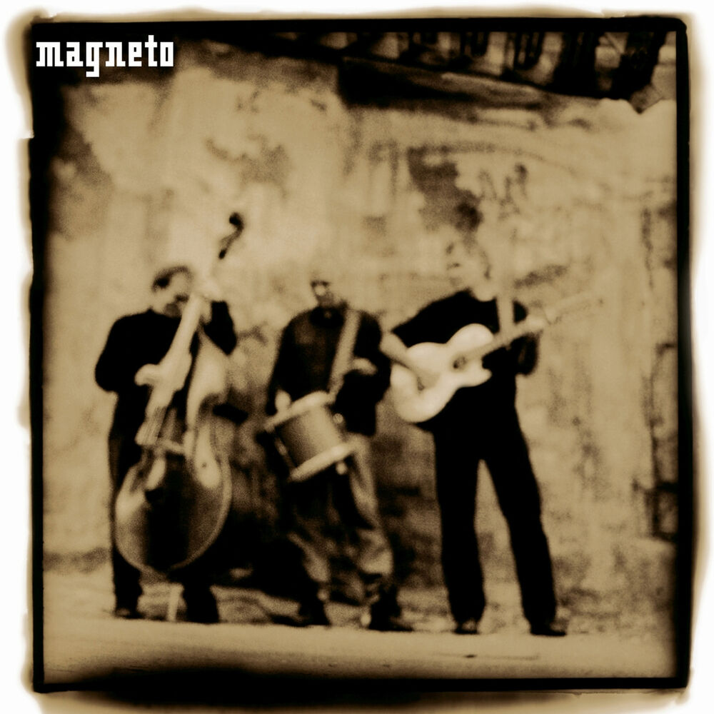 Picture of Magneto