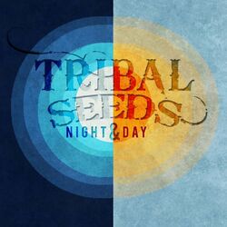 Cover of Night & Day