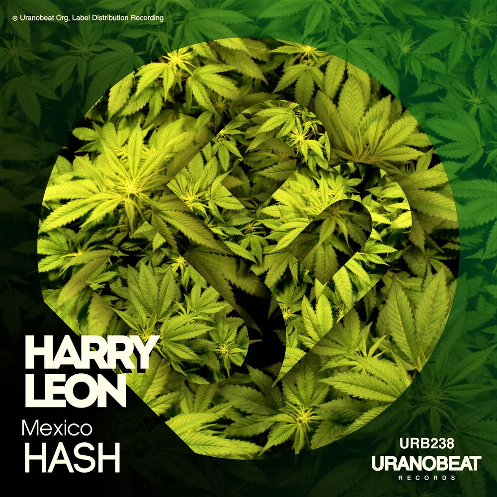 Picture of Hash