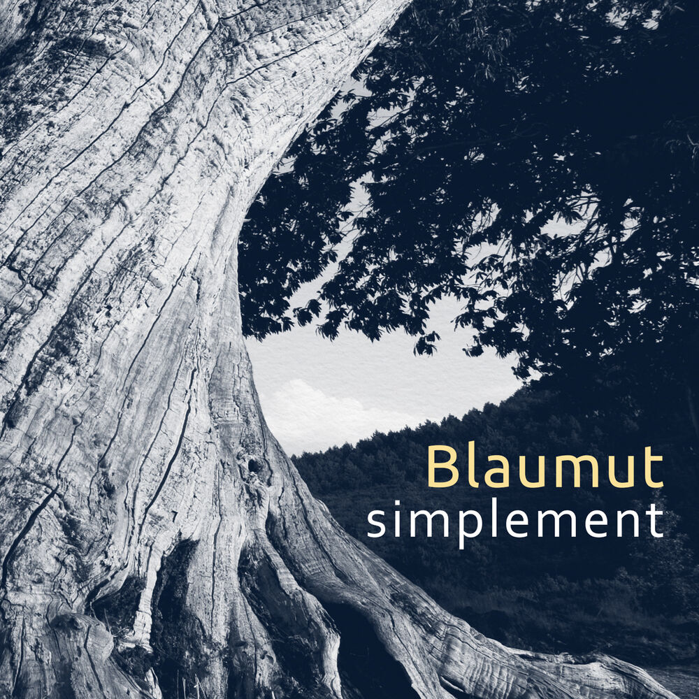 Picture of Simplement - Single