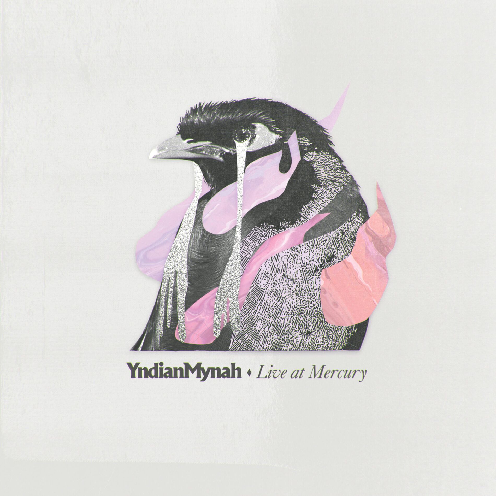 Album cover of Live at Mercury Live
