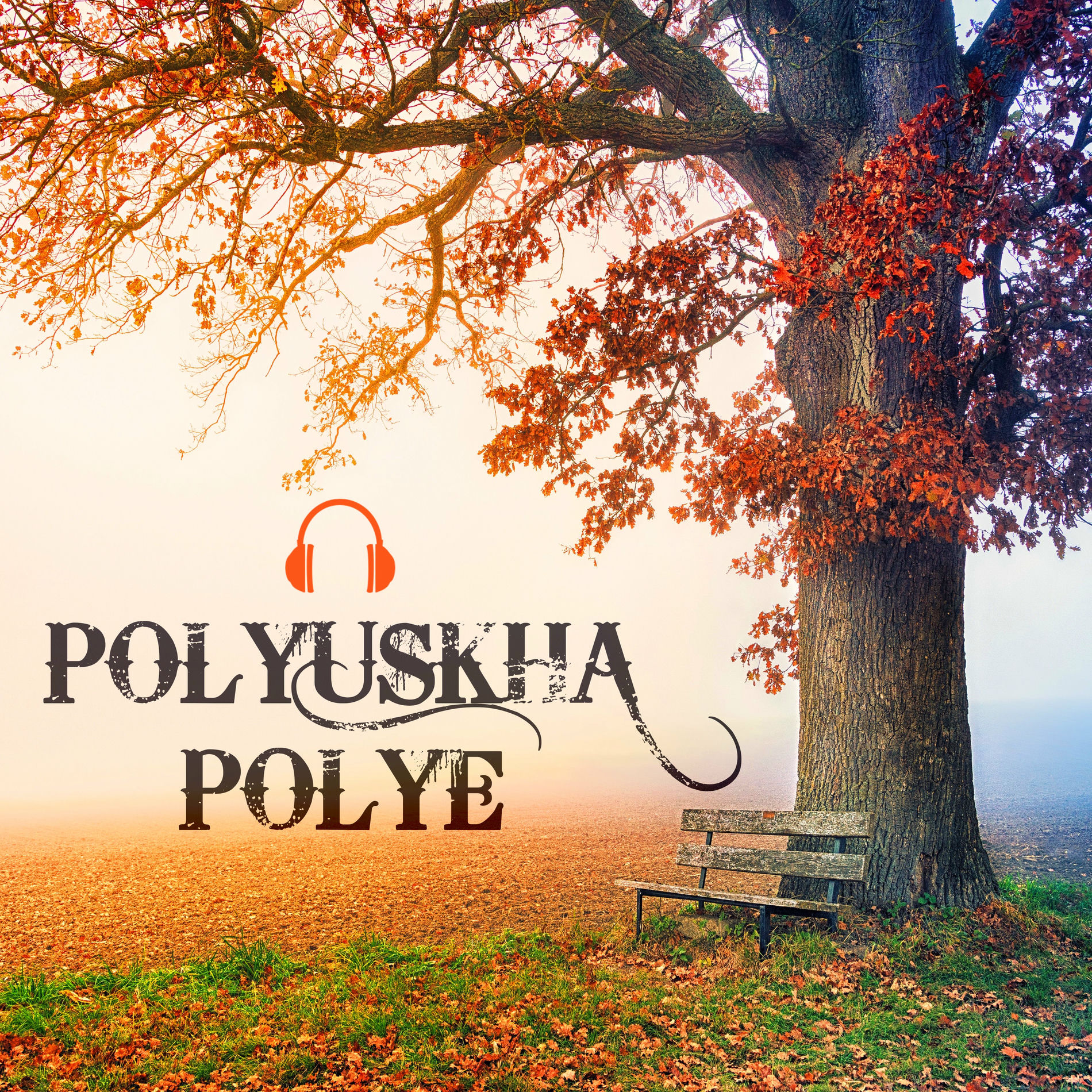 Album cover of Polyuskha Polye