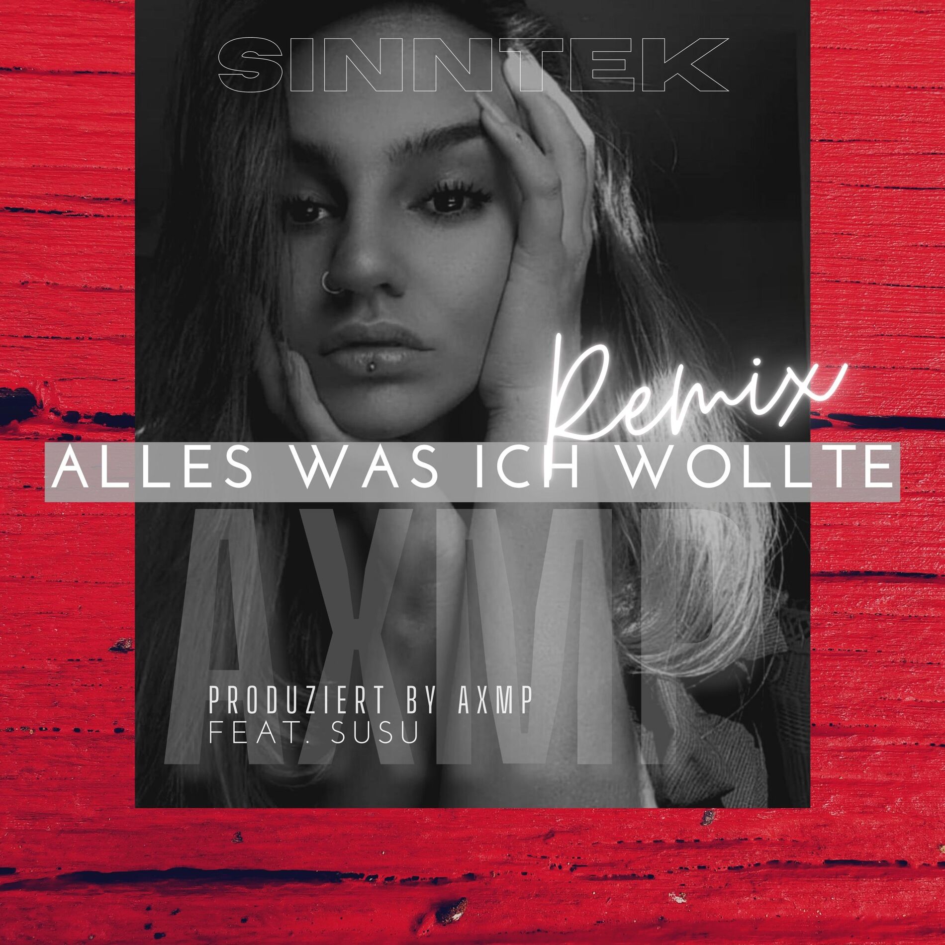 Album cover of Alles was ich wollte (feat. Susu) [AXMP Remix]