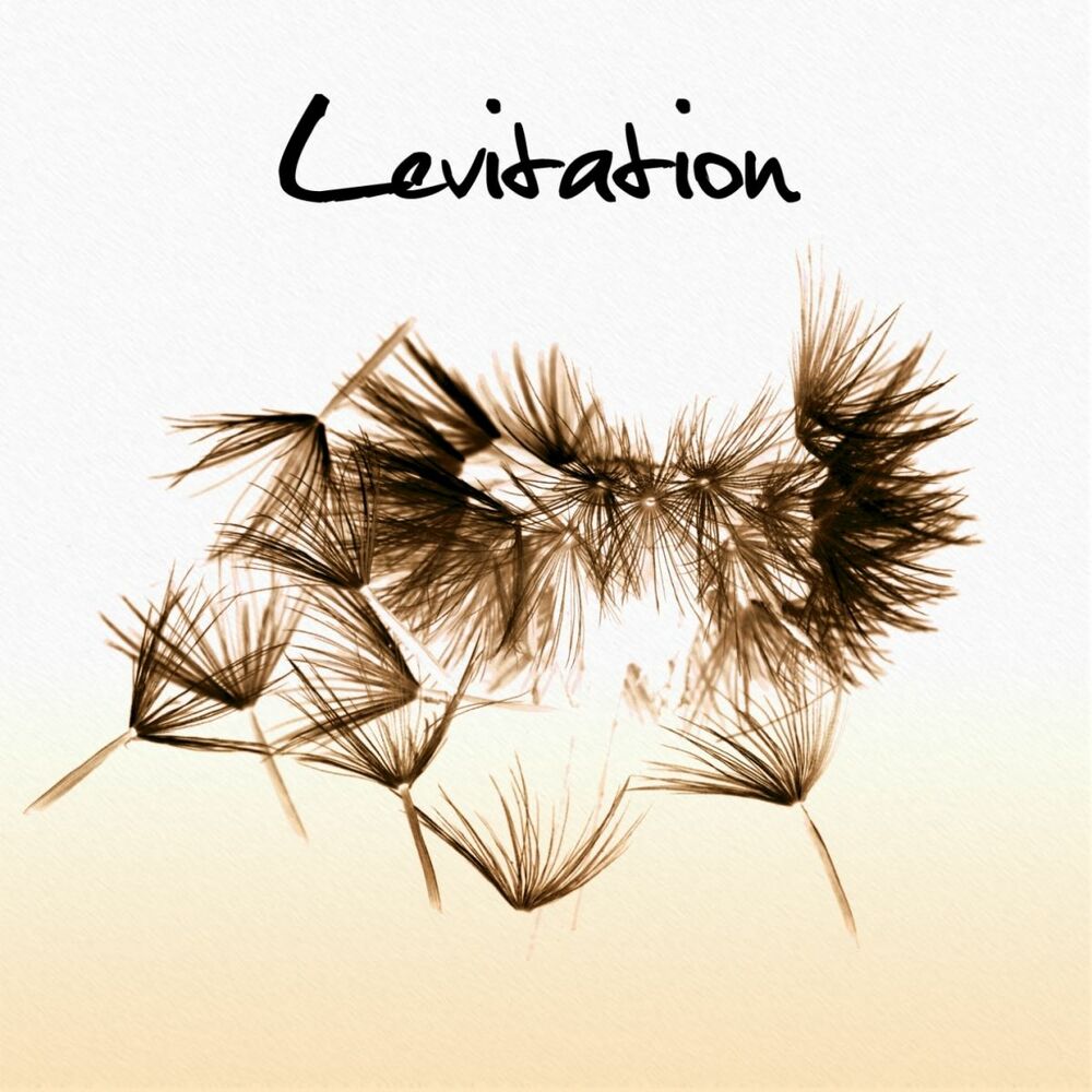 Picture of Levitation