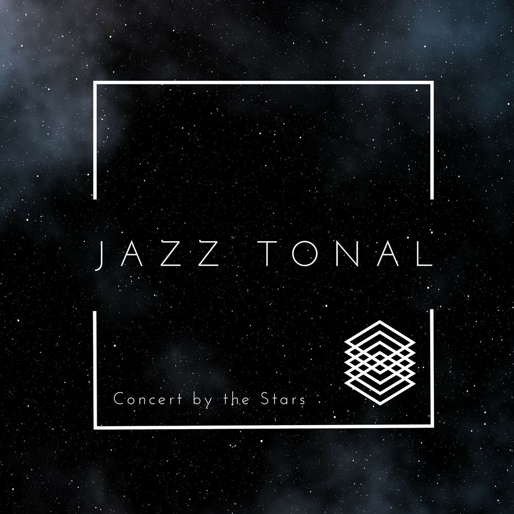 Picture of Concert by the Stars