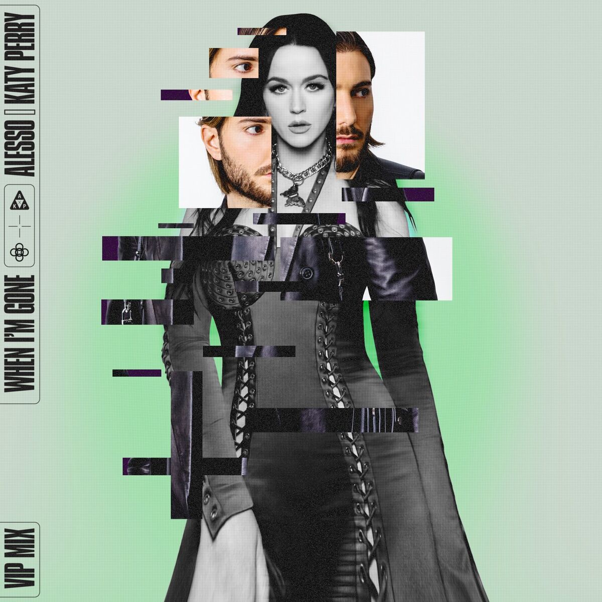Album cover of When I'm Gone (VIP Mix)