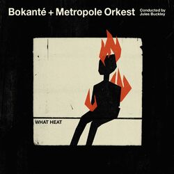 Cover of What Heat