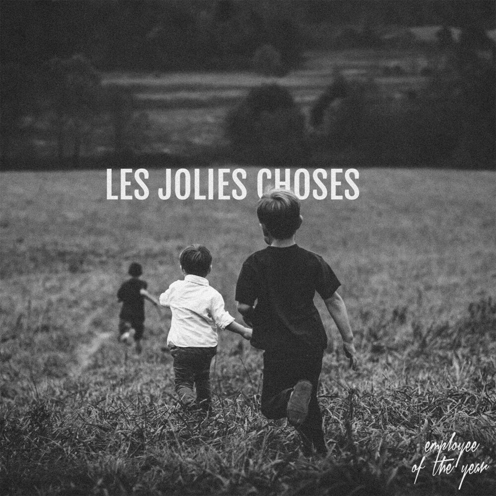 Picture of Les jolies choses