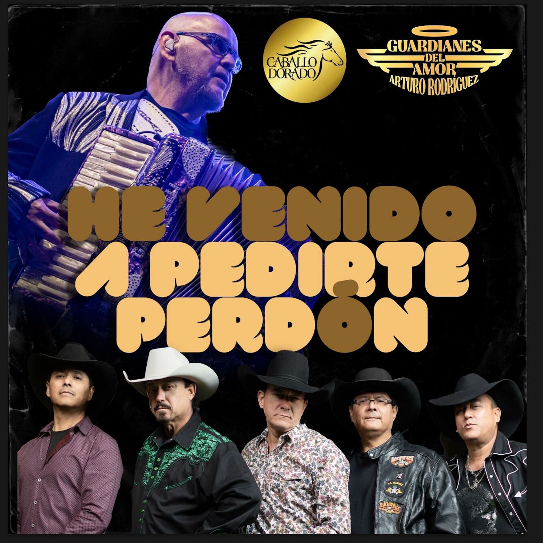 Album cover of He Venido a Pedirte Perdón