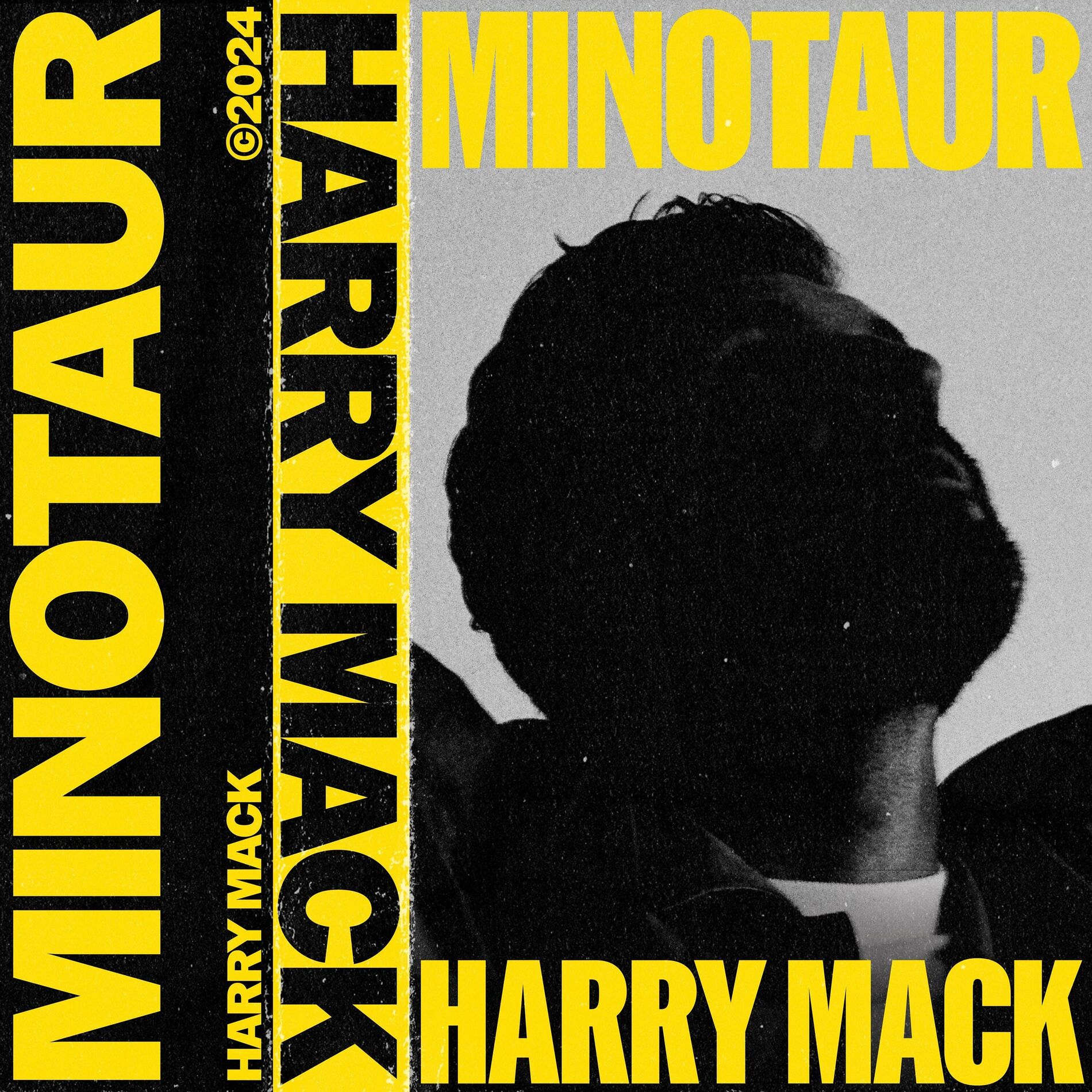 Album cover of Minotaur