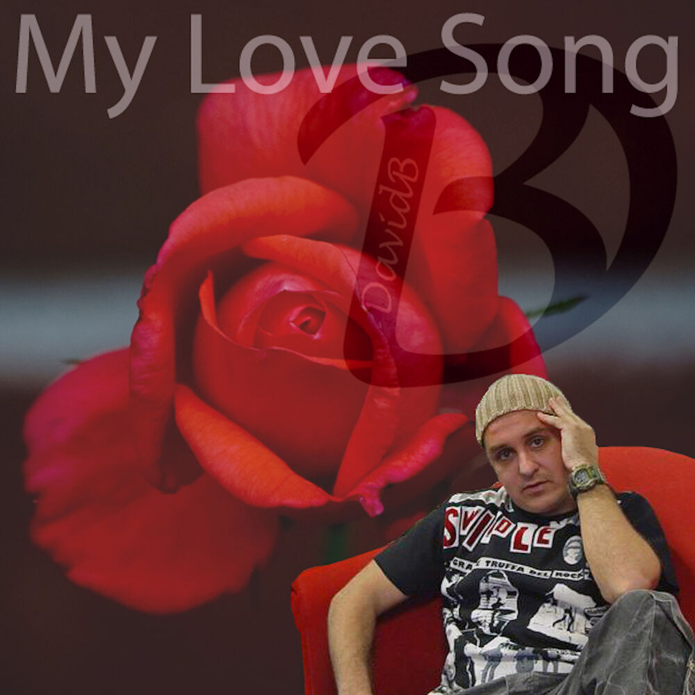 Picture of My Love Song