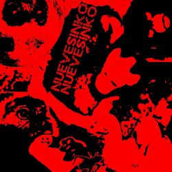 Cover of nuevesiNKO♡