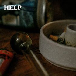 Cover of Help